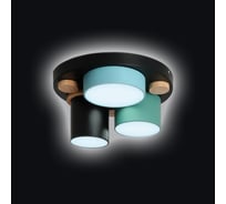 Светодиодная диммируемая люстра RITTER Scandia хайтек 30Вт черная/зеленая/голубая 52074 0