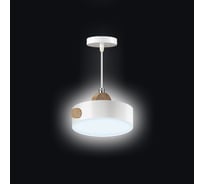 Светодиодная диммируемая люстра RITTER Scandia хайтек 14Вт белая 52077 1