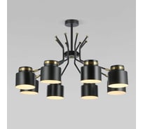 Потолочный светильник Eurosvet 70133 8 черный a057400