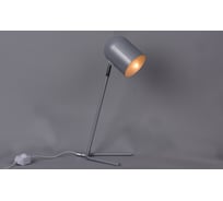 Настольная лампа РОССВЕТ 1*60Вт E27 РС21100 SL+CR/1T