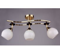 Потолочный светильник РОССВЕТ 3*60Вт*E27 РС16270 FG+BK/3C