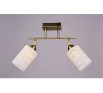 Светильник потолочный РОССВЕТ 2*60Вт*E27 РС18250 AB/2C