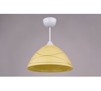 Потолочный светильник РОССВЕТ 1*60Вт*E27 РС20252 WT/1C