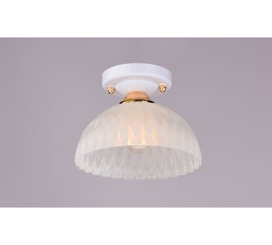 Потолочный светильник РОССВЕТ 1*60Вт*E27 РС20019 WT+FG/1C 1