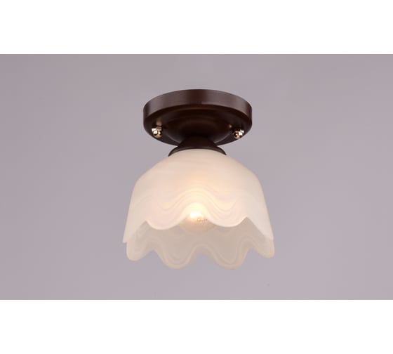 Потолочный светильник РОССВЕТ 1*60Вт*E27 РС20078 BRN/1C 1