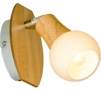 Светильник LUSSOLE LSP-0119