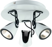 Светильник LUSSOLE LSN-4101-03