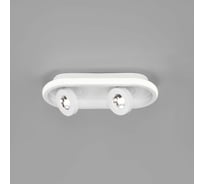 Потолочный светильник Eurosvet 20123 2 LED белый a055527