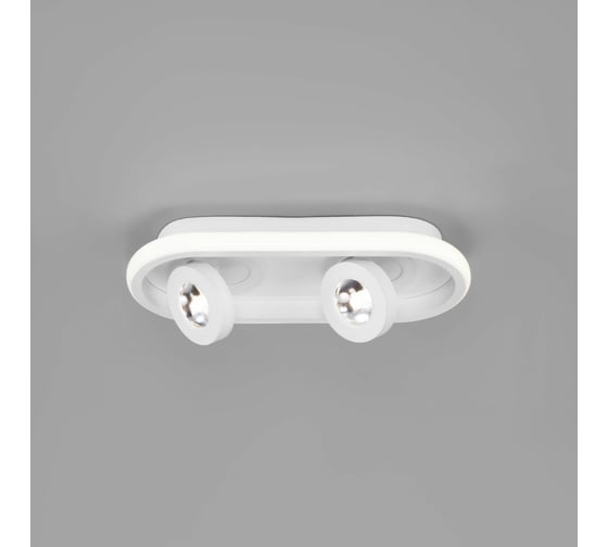 Потолочный светильник Eurosvet 20123 2 LED белый a055527 1