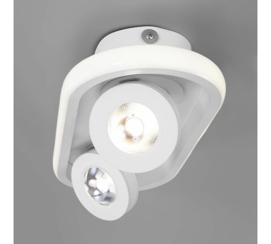 Потолочный светильник Eurosvet 20123 2 LED белый a055527