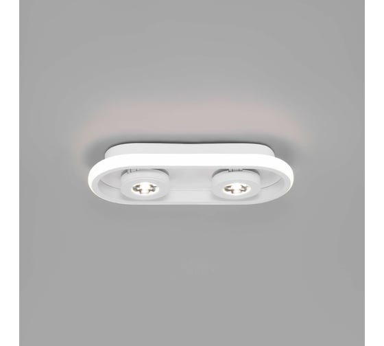 Потолочный светильник Eurosvet 20123 2 LED белый a055527