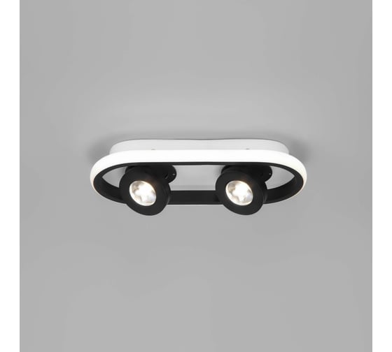 Потолочный светильник Eurosvet 20123 2 LED белый черный a055521