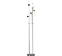 Торшер LUSSOLE LSC-2805-05