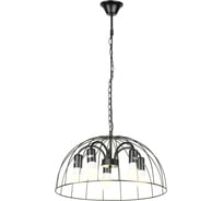 Светильник LUSSOLE LSP-8216