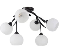 Светильник LUSSOLE LSF-6283-06