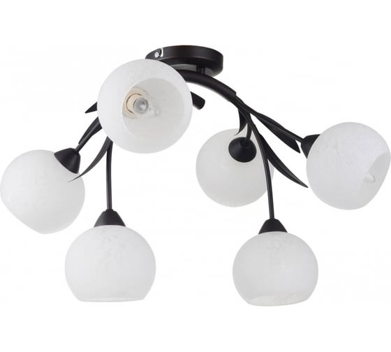 Светильник LUSSOLE LSF-6283-06