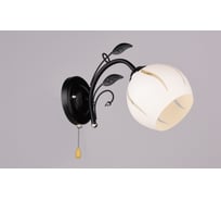 Бра РОССВЕТ 1х60ВтхE27 РС20000 BK+CR/1W