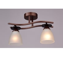 Потолочный светильник РОССВЕТ 2*60Вт*E27 РС16210 CO+DK/2C