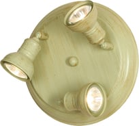 Светильник LUSSOLE LSL-2507-03
