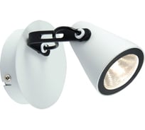Светильник LUSSOLE LSN-4101-01