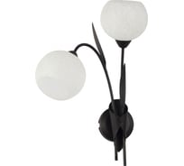 Светильник LUSSOLE LSF-6291-02