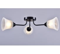 Потолочная люстра РОССВЕТ 3*60Вт*E27 РС21399 BK/3C