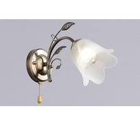 Бра РОССВЕТ 1х60ВтхE27 РС21218 AB/1W