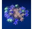Светодиодная гирлянда Uniel Снежинки-3 ULD-S0500-050/DTA MULTI, IP20, SNOWFLAKES-3 UL-00007195 5