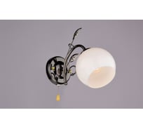 Бра РОССВЕТ 1х60ВтхE27 РС16600 BK/1W