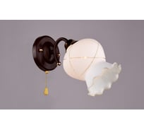 Бра РОССВЕТ 1х60ВтхE27 РС20058 BRN+FG/1W