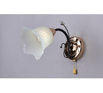 Бра РОССВЕТ 1х60ВтхE27 РС21568 BK/1W