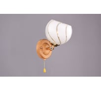 Бра РОССВЕТ 1х60ВтхE27 РС16410 WD+FG/1W