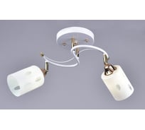 Люстра РОССВЕТ 2х60ВтхE27 РС18192 WT+FG/2C