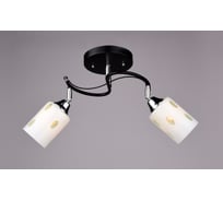 Люстра РОССВЕТ 2х60ВтхE27 РС18192 BK+CR/2C