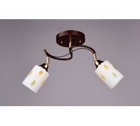 Люстра РОССВЕТ 2х60ВтхE27 РС18192 BRN+FG/2C