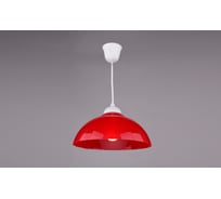Подвесной светильник РОССВЕТ 1х60ВтхE27 РС19350 RD/1P