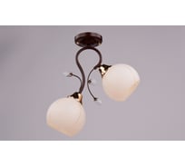 Потолочный светильник РОССВЕТ 2х60ВтхE27 РС20062 BRN+FG/2C