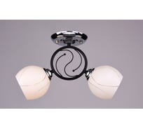 Потолочный светильник РОССВЕТ 2х60ВтхE27 РС19410 BK+CR/2C