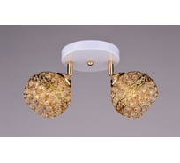 Потолочный светильник РОССВЕТ 2х60ВтхE27 РС16429 WT+FG/2C