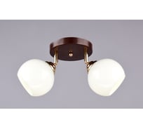 Потолочный светильник РОССВЕТ 2х40ВтхE27 РС16436 BRN+FG/2C