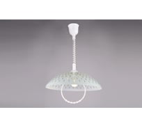 Подвесной светильник РОССВЕТ 1х60ВтхE27 РС-025 Вояж (д.450)
