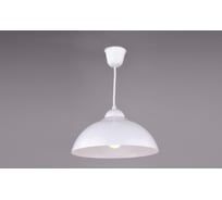 Подвесной светильник РОССВЕТ 1х60ВтхE27 РС19350 WT/1P