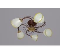 Подвесная люстра РОССВЕТ 5*60Вт*E27 РС20024 BRN+FG/5C