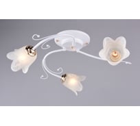 Люстра РОССВЕТ 3х60ВтхE27 РС20506 WT+FG/3C