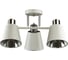 Потолочная люстра LUMION E14 3*40W GRETCHEN 5219/3C 1