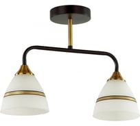 Потолочная люстра LUMION E27 2*60W NETTIE 5214/2CA