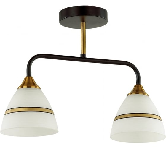 Потолочная люстра LUMION E27 2*60W NETTIE 5214/2CA