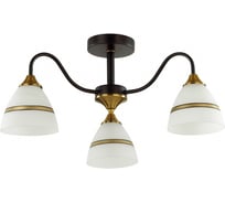 Потолочная люстра LUMION E27 3*60W NETTIE 5214/3C