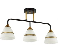 Потолочная люстра LUMION E27 3*60W NETTIE 5214/3CA
