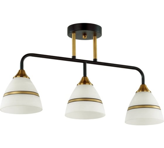 Потолочная люстра LUMION E27 3*60W NETTIE 5214/3CA